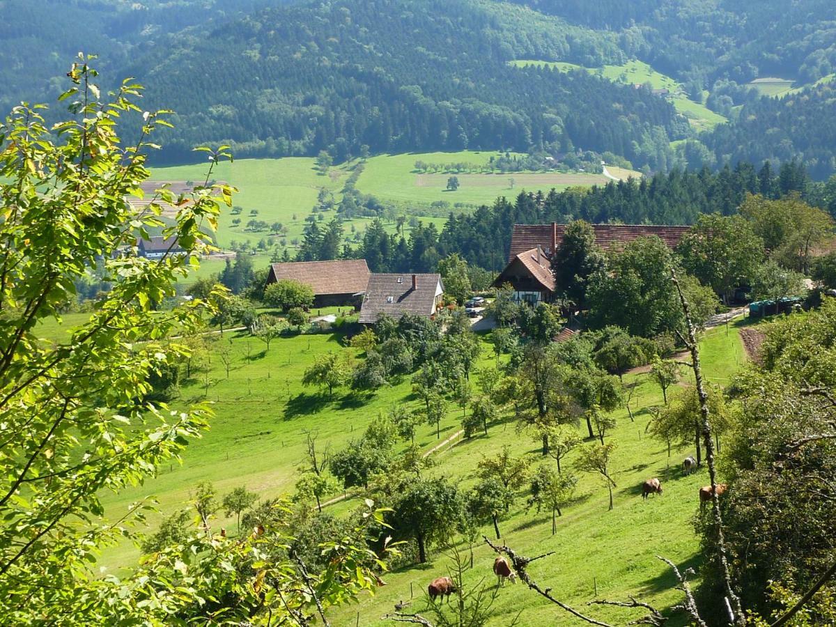 Ferienhaus Eck Villa Zell am Harmersbach Esterno foto