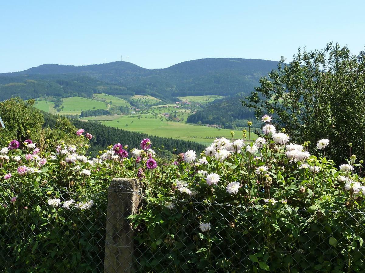 Ferienhaus Eck Villa Zell am Harmersbach Esterno foto