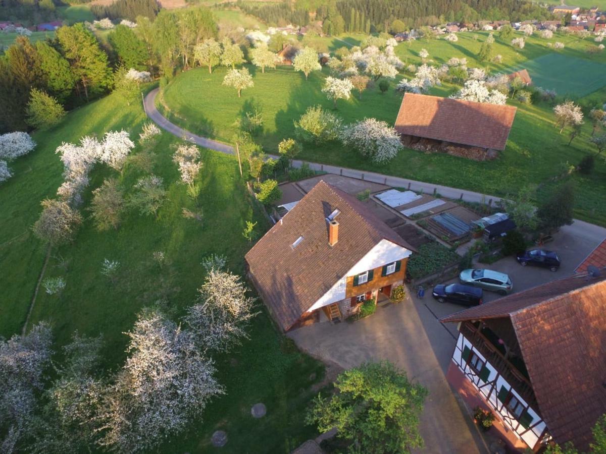 Ferienhaus Eck Villa Zell am Harmersbach Esterno foto